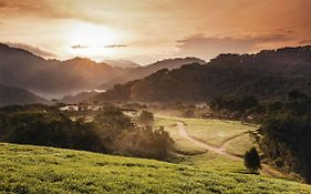 One&Only Nyungwe House